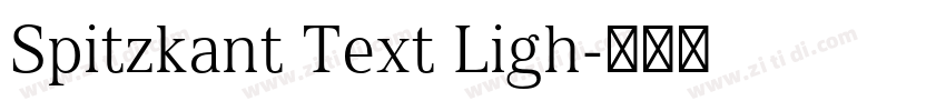 Spitzkant Text Ligh字体转换